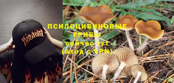 дмт Алзамай