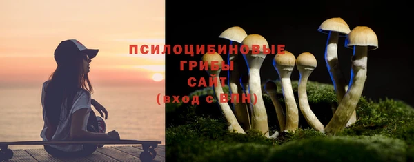 дмт Алзамай