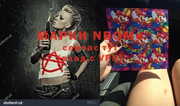дмт Алзамай